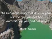 Beautiful Life Quotes