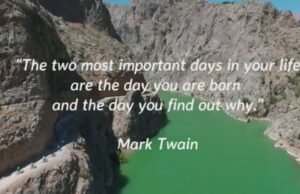 Beautiful Life Quotes