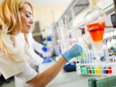 DNA Testing – What is it and is it really worth it?